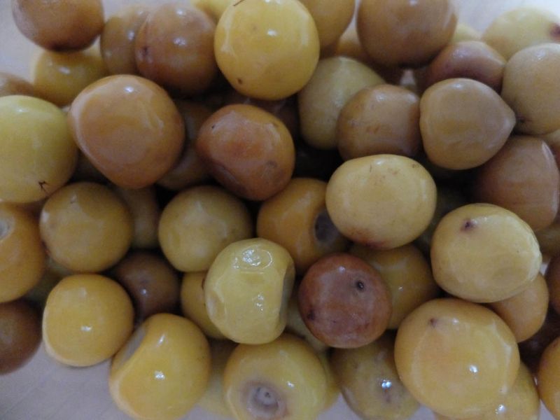 Datei:Chacungas.jpg