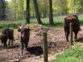 Vorschaubild der Version vom 14:39, 13. Aug. 2025