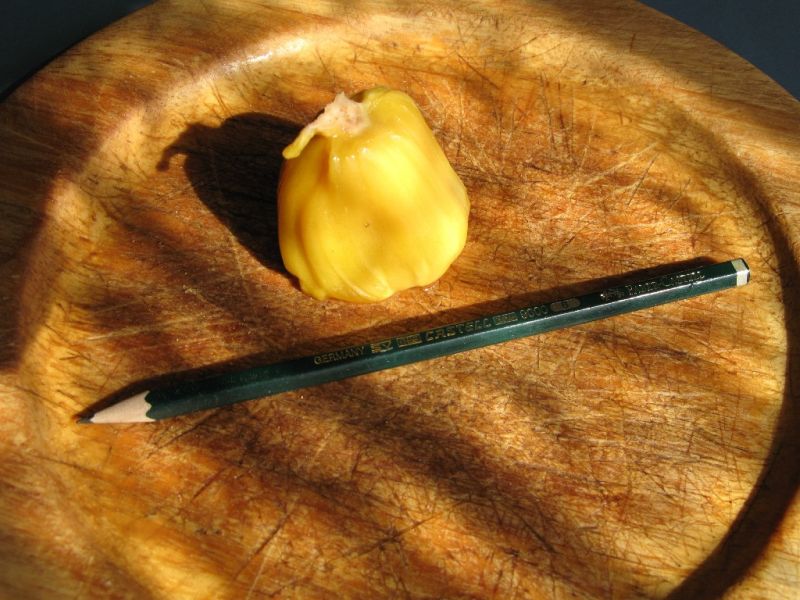 Datei:Jackfrucht, Fruchttasche.jpg