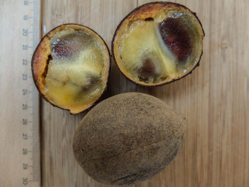Datei:Kepel.jpg