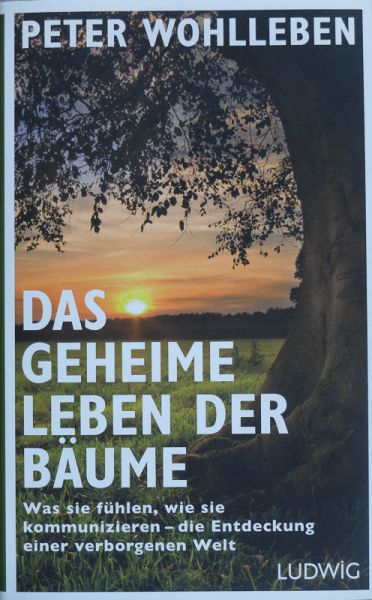Datei:Buch Peter Wohlleben Das geheime Leben der Baeume.jpg