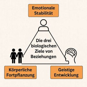 Die drei biologischen Ziele von Beziehungen: Emotionale Stabilität, Körperliche Fortpflanzung, Geistige Entwicklung