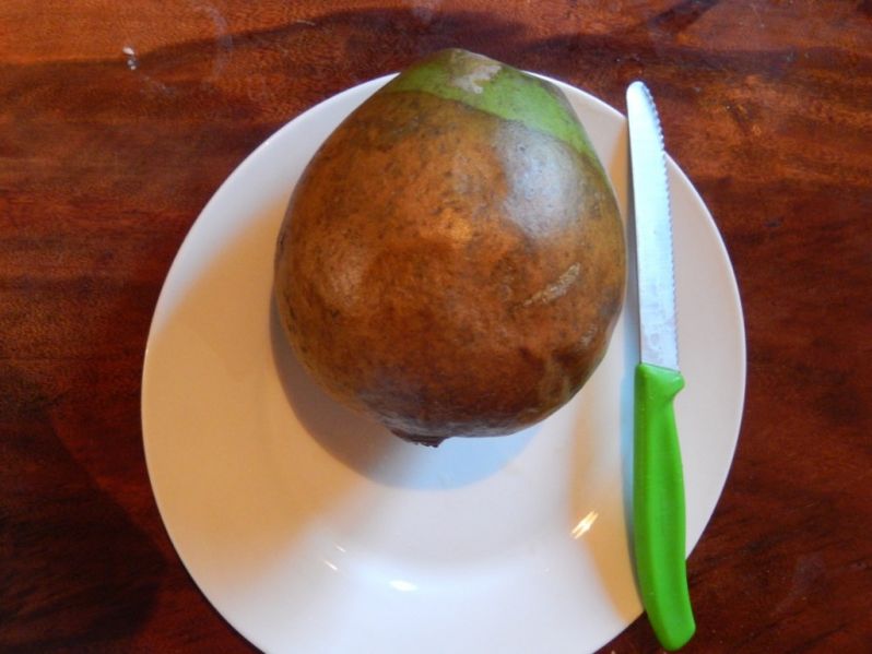 Datei:Borojo.jpg