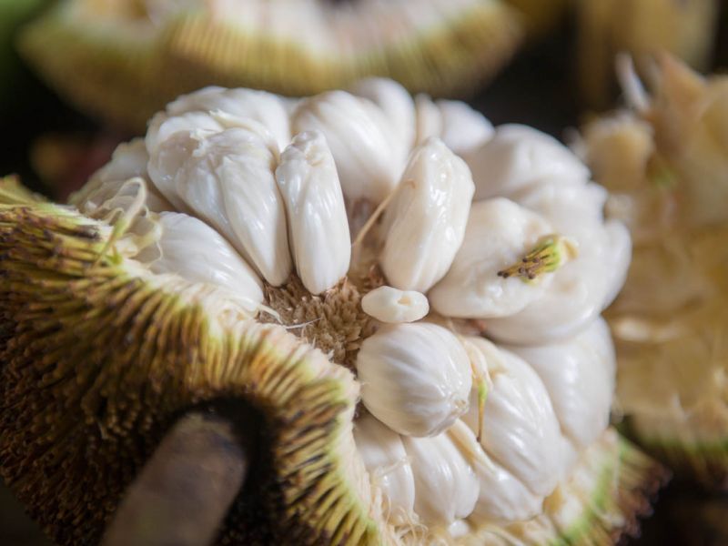 Datei:Marang, Fruchtfleisch.jpg