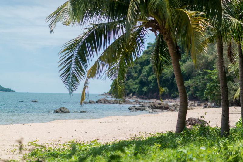 Datei:Strand mit Palmen.jpg