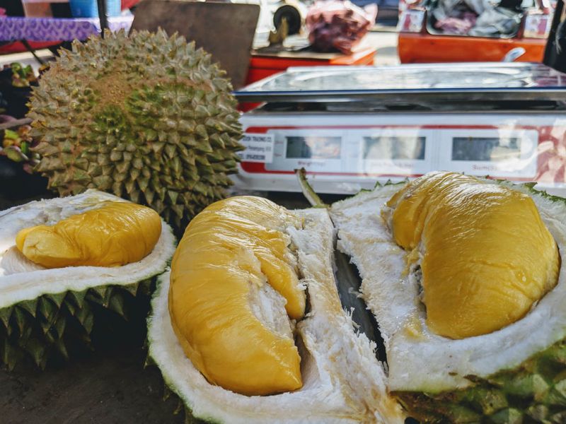 Datei:Durian Musang King.jpg
