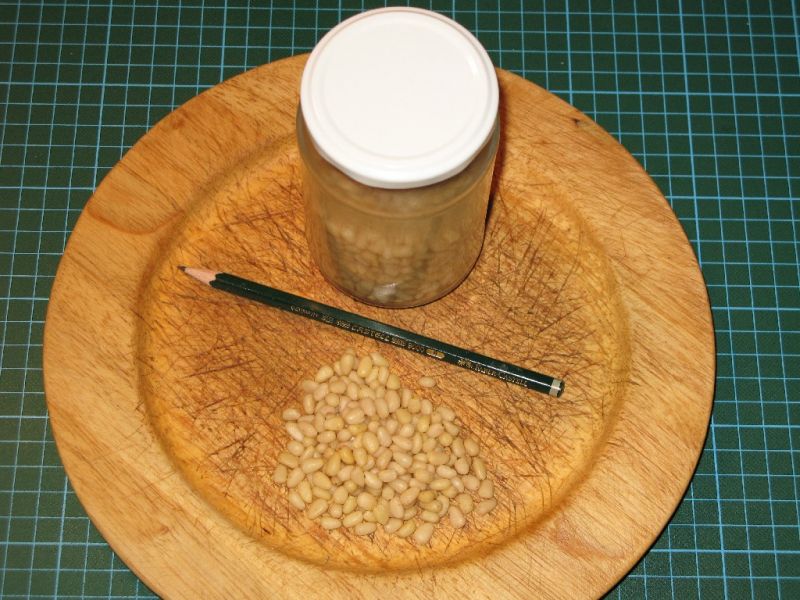Datei:Zedernkerne.jpg