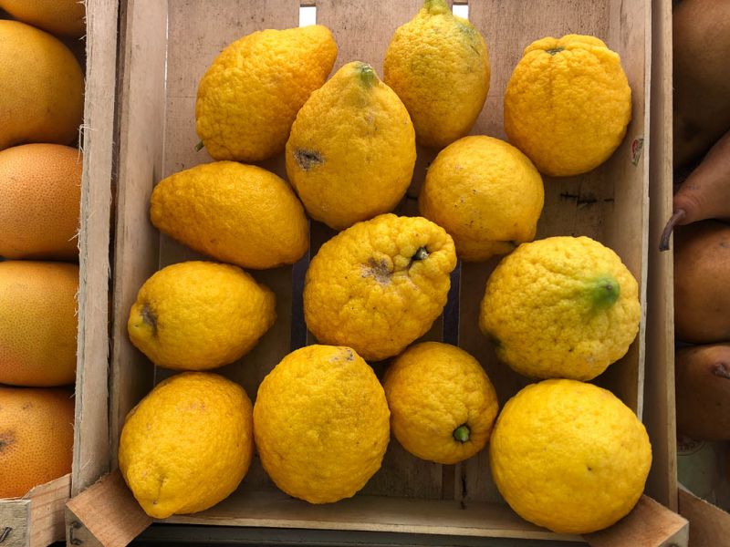 Datei:Zitronatzitronen, ganze Fruechte.jpg
