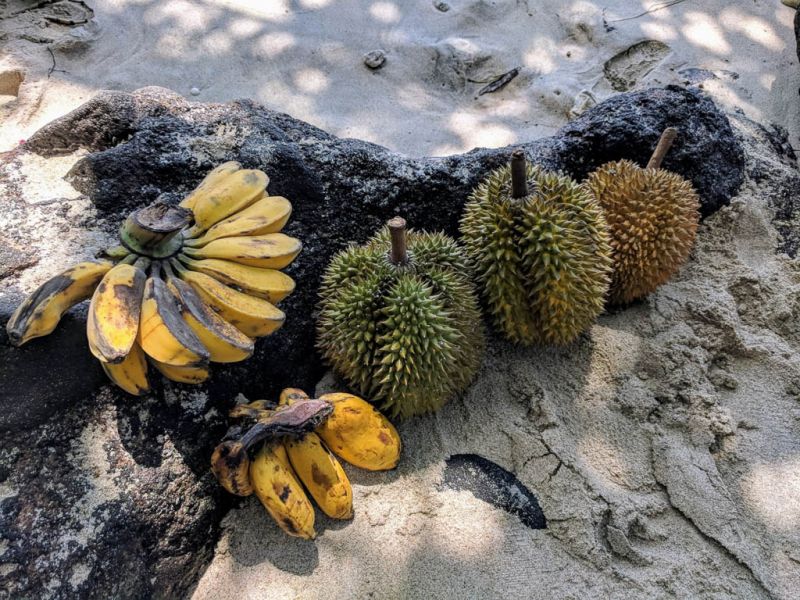 Datei:Bananen und Durian.jpg