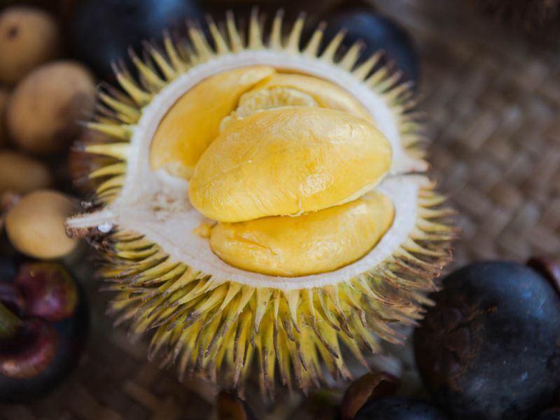 Datei:Durio graveolens, gelbfleischig.jpg