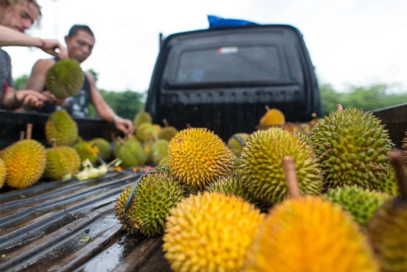 Datei:Reisebericht Bali 3.jpg