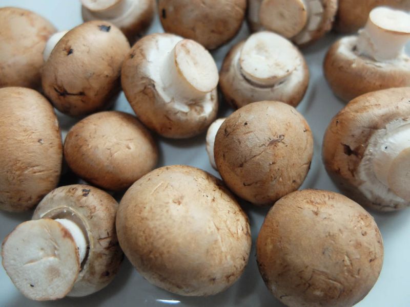 Datei:Braune Champignons.jpg