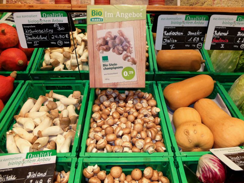 Datei:Bio Steinchampignons.jpg