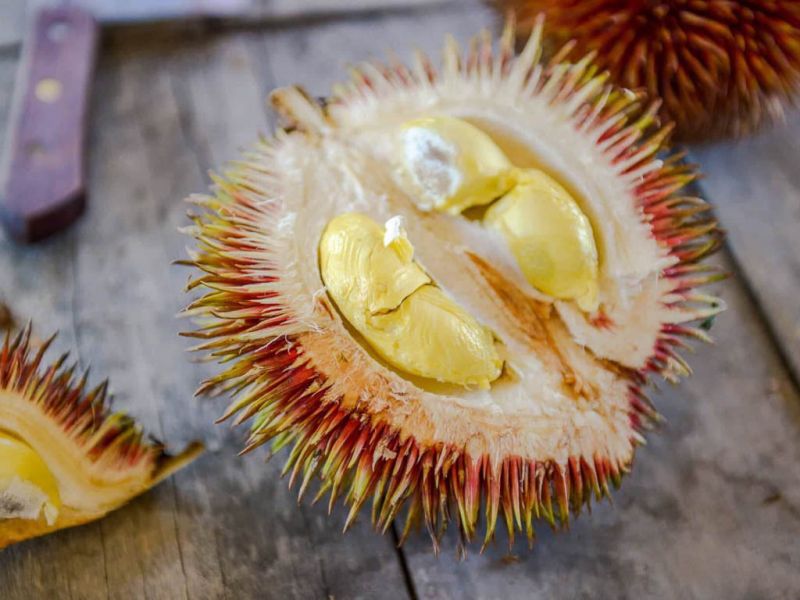 Datei:Durio dulcis.jpg